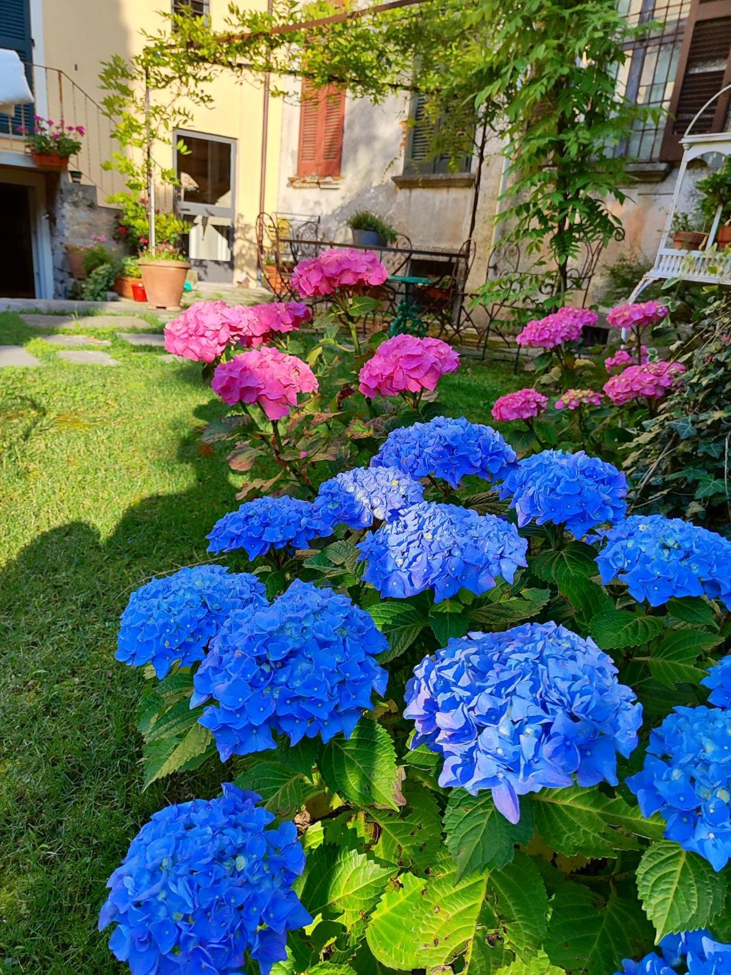 Casa Lumaca Bed & Breakfast Tremezzo Luaran gambar