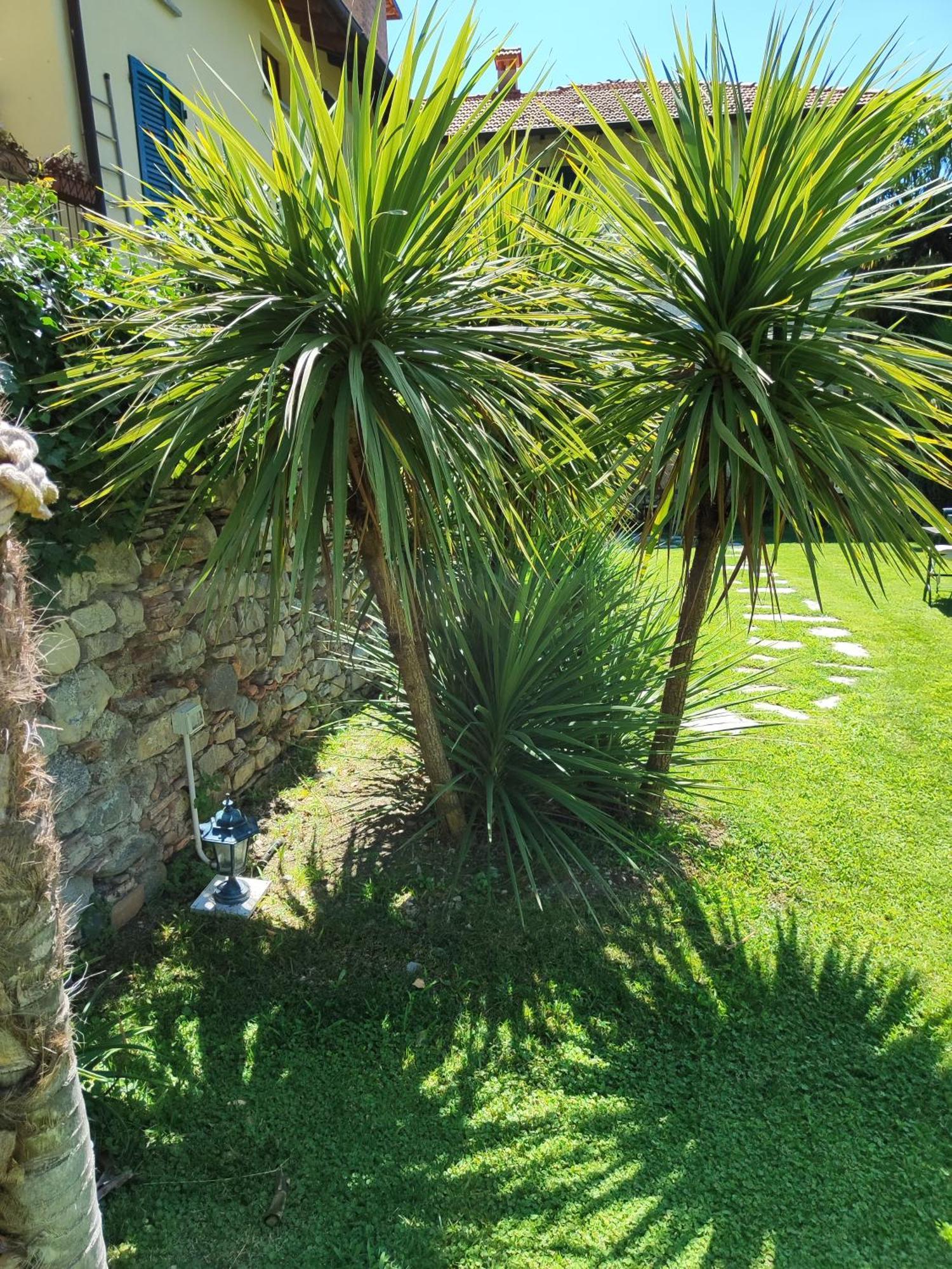 Casa Lumaca Bed & Breakfast Tremezzo Luaran gambar